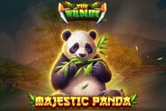 Majestic Panda